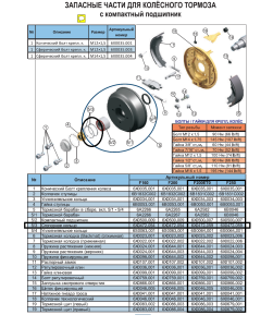 основа - копия (7)