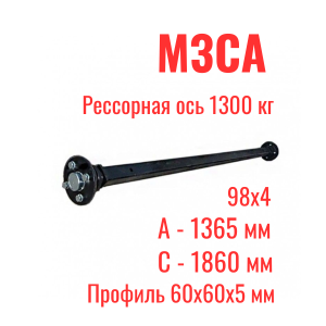МЗСА (12)