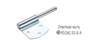 Пластина для петли борта прицепа BSCHG 50-8-А Winterhoff (палец в сборе)
