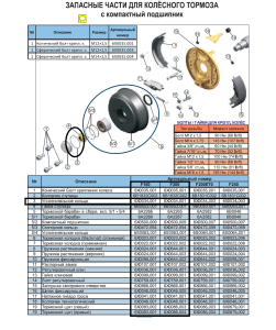 основа - копия (5)