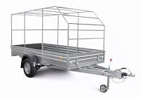 Без названия (13)