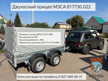 Двухосный прицеп МЗСА 817730.012. Обзор прицепа. Смотреть видео